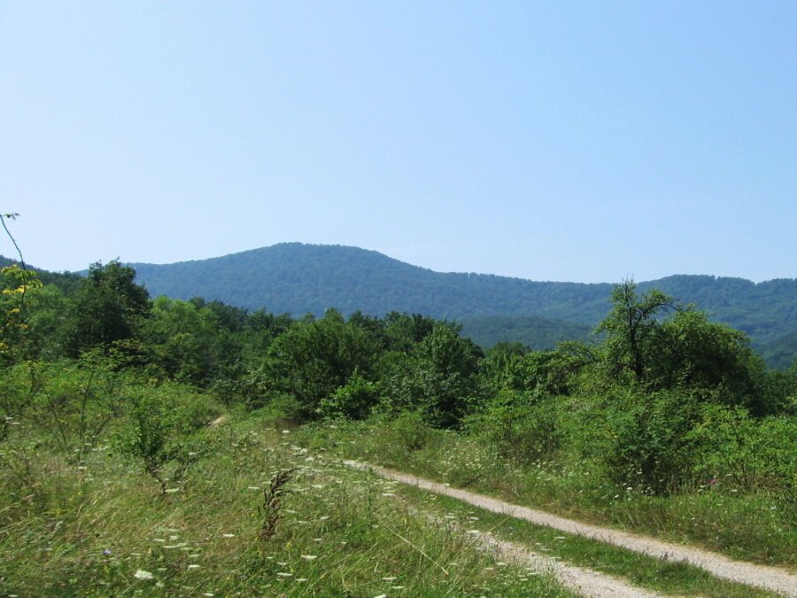 Връх Острома