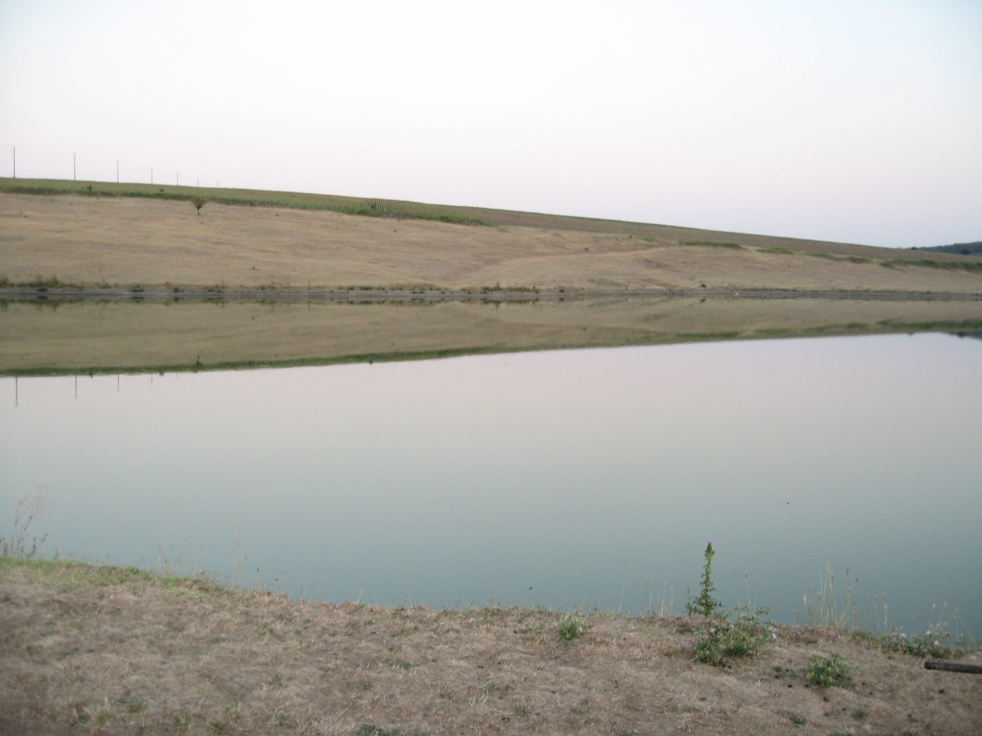 Нова Попина