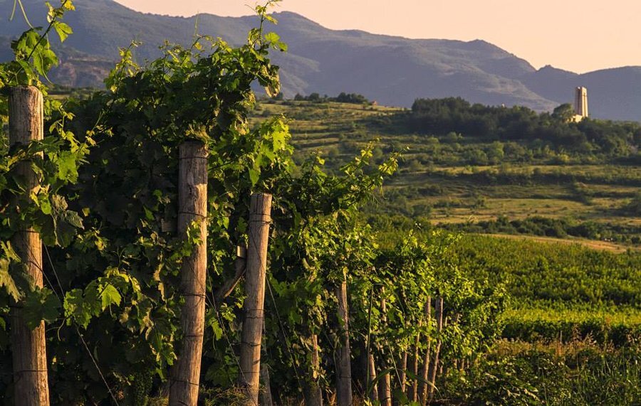 Винарска изба Каменки