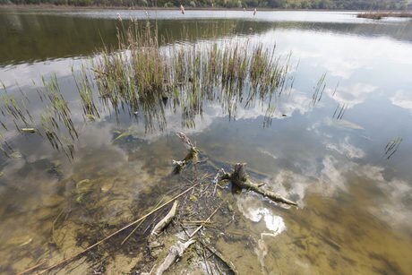Варненско-Белославско езеро