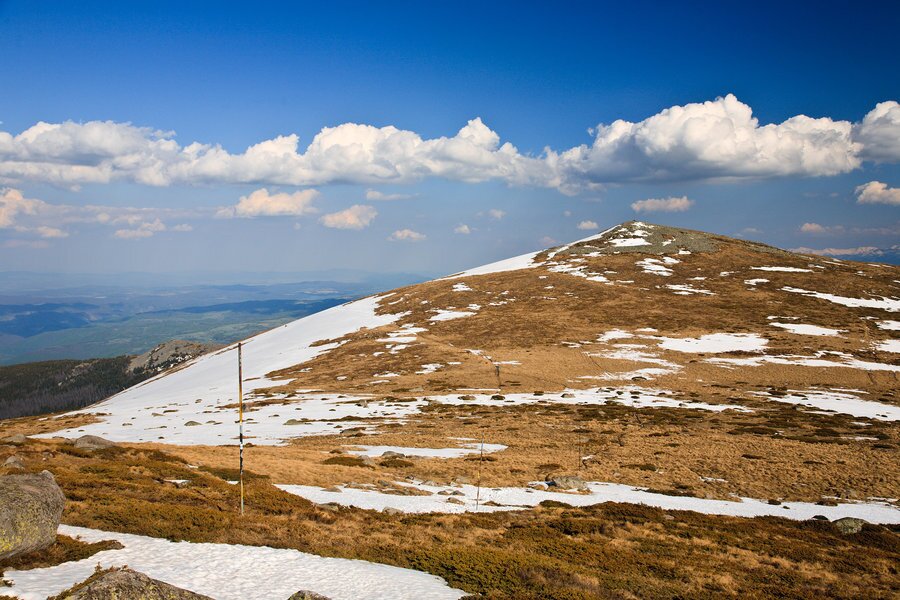 Връх Скопарник