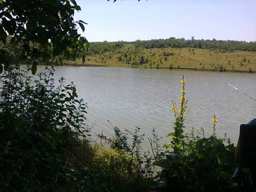 Язовир "Яза" - Расово