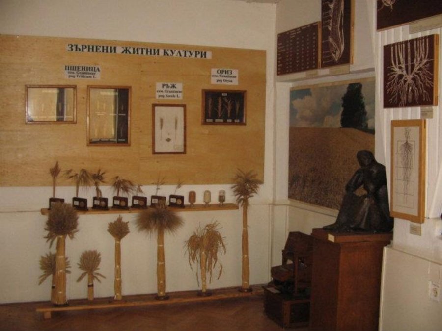 Национален земеделски музей - София
