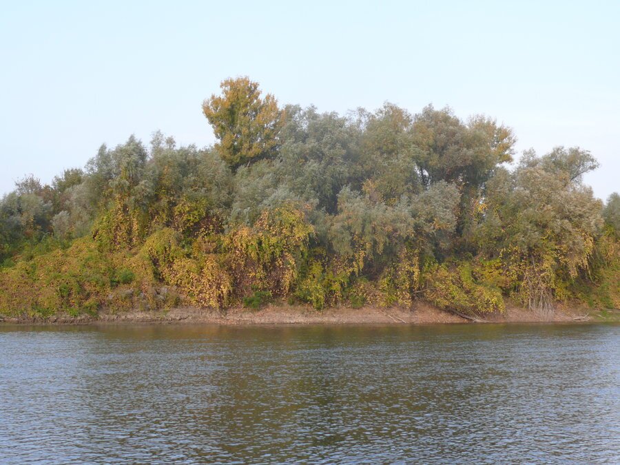 Остров Алеко - р. Дунав