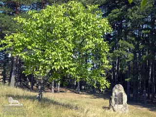 Паметник в местността Зли дол - Клисура — Клисура
