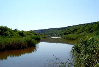 Наневска тузла