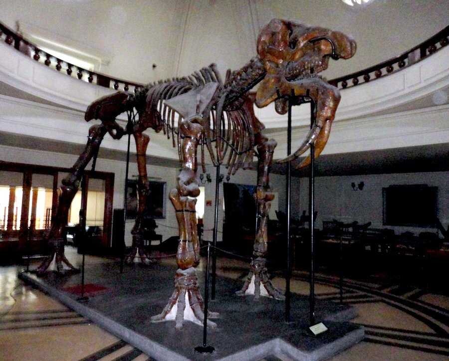 Музей по палеонтология и исторична геология - София