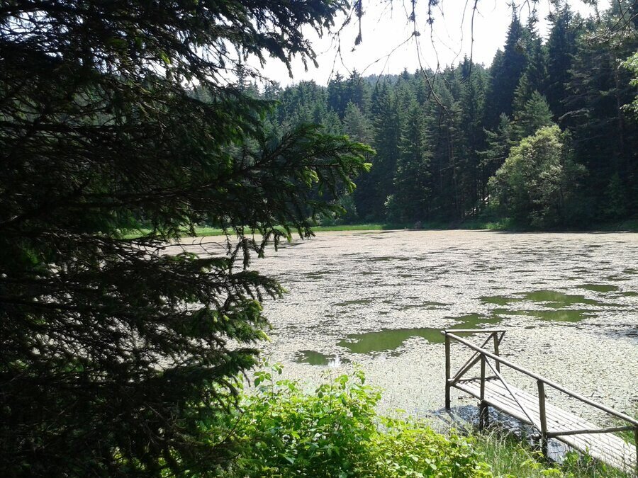 Езеро "Паничище" - Сапарева баня