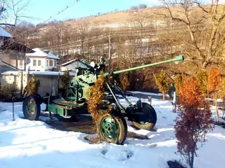 Военно оръдие - Троян — Троян