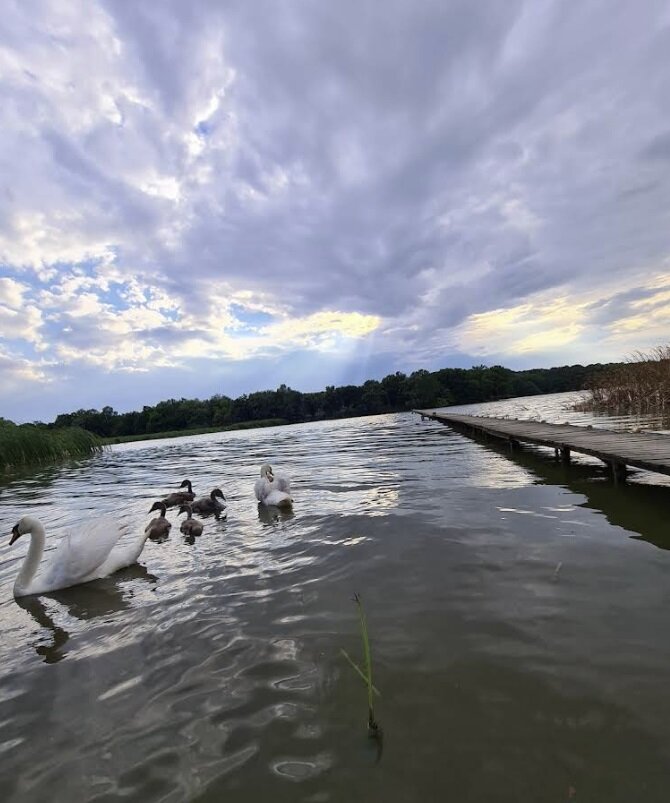 Язовир Засмяно – тишина и природа край Варна