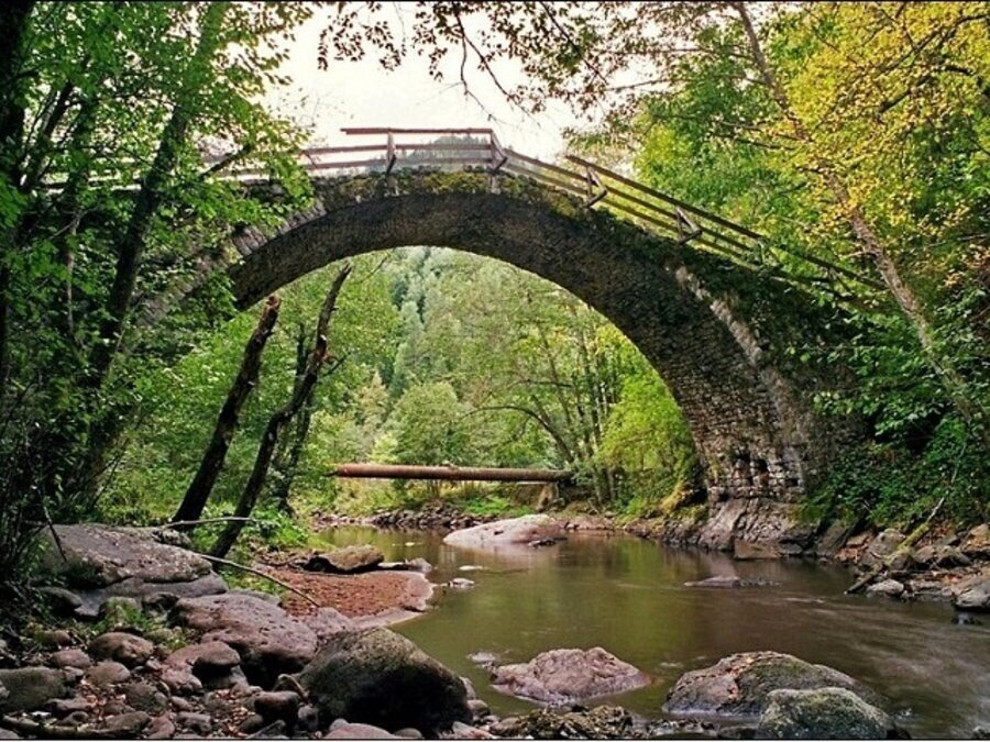Резерват Кастракли - Борино