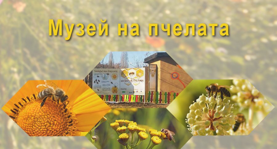 Музей на пчелата - София