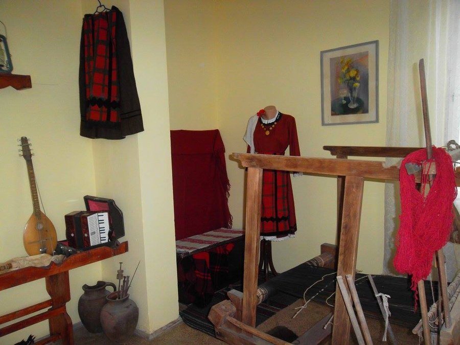 Битова стая - с. Книжовник