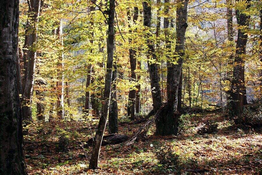 Резерват "Узунбуджак"