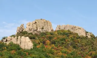 Куш Кая - Вълче поле — Вълче поле