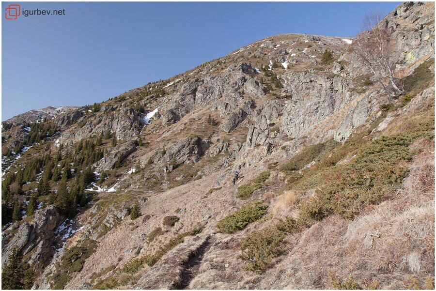 Връх Амбарица