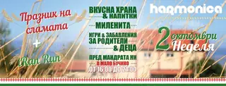 Празник на сламата - Мало Бучино — Мало Бучино