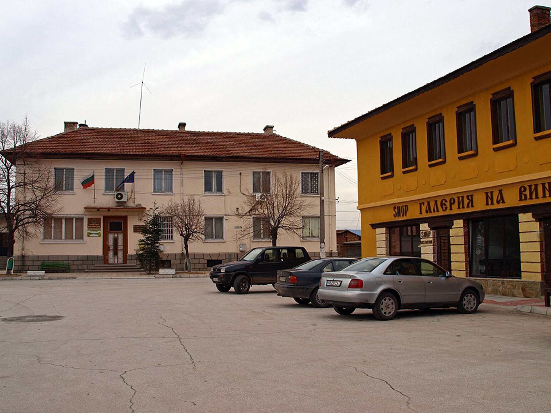 Виноградец