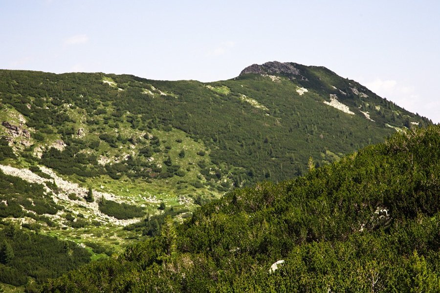 Връх Къркъмски чал