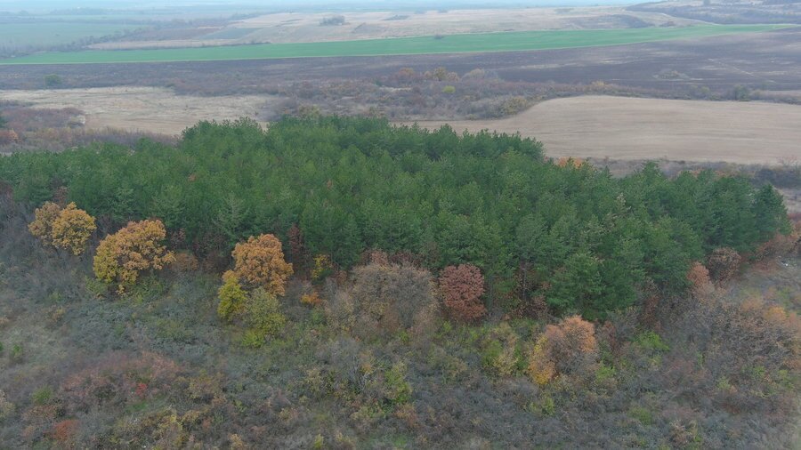 Светилище на "Зевс Сабазий" - с.Яворово