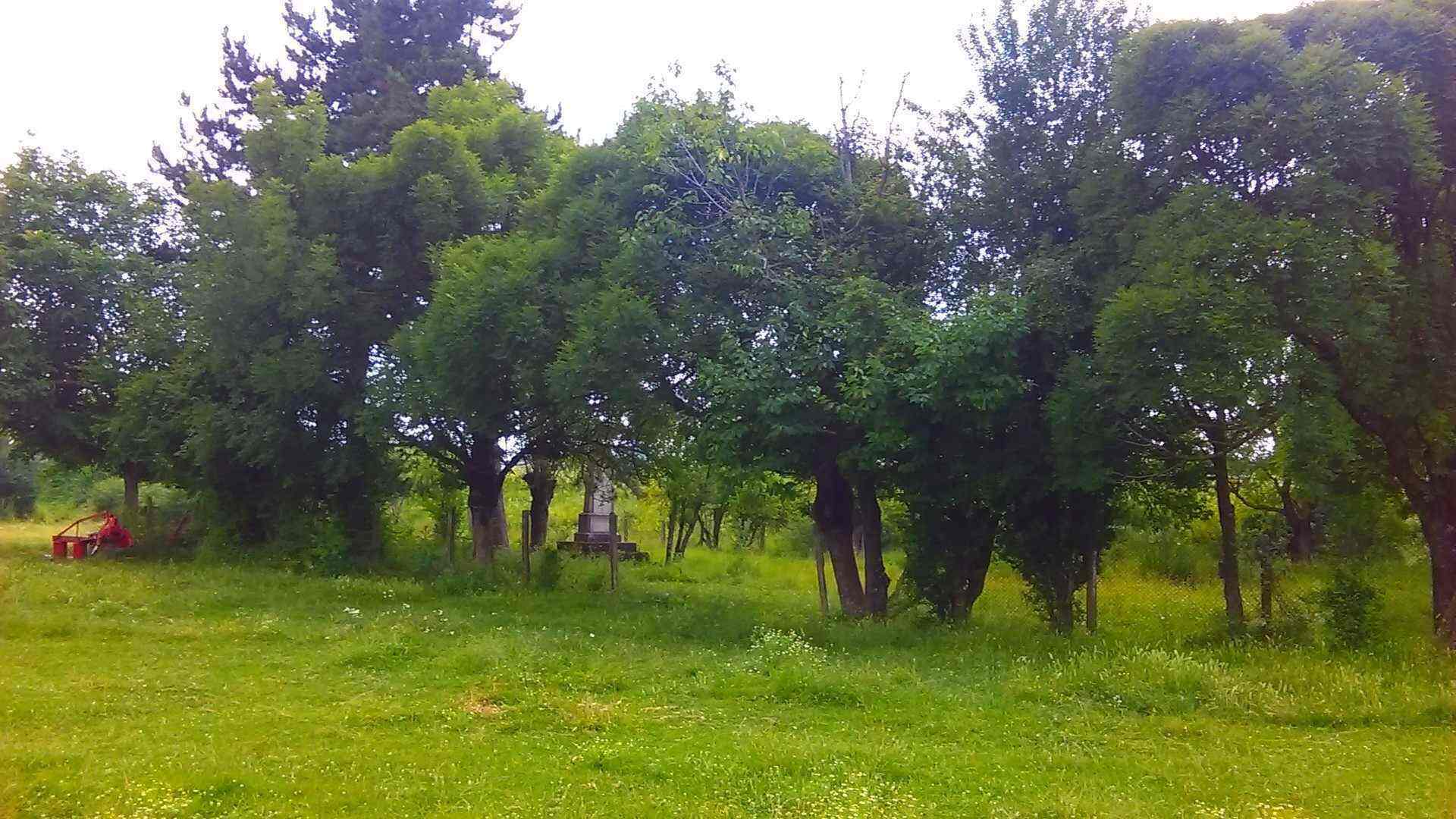 Кьосевци