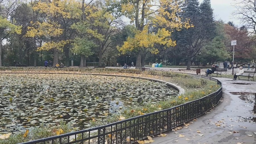 Езерото с лилиите - София