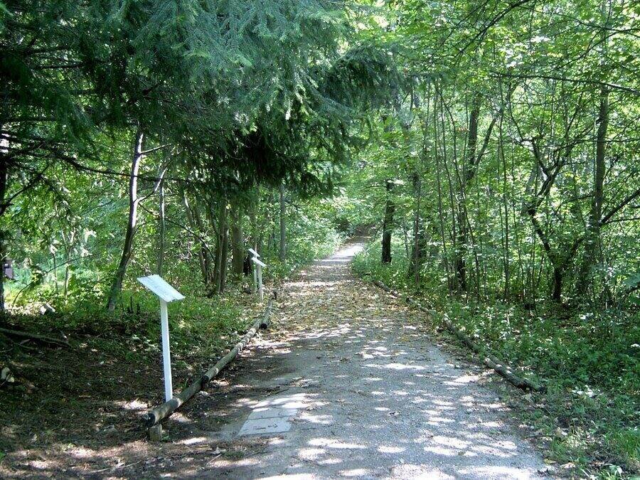 Ботаническа алея за незрящи - Витоша