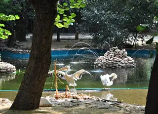Зоопарк Варна — Варна