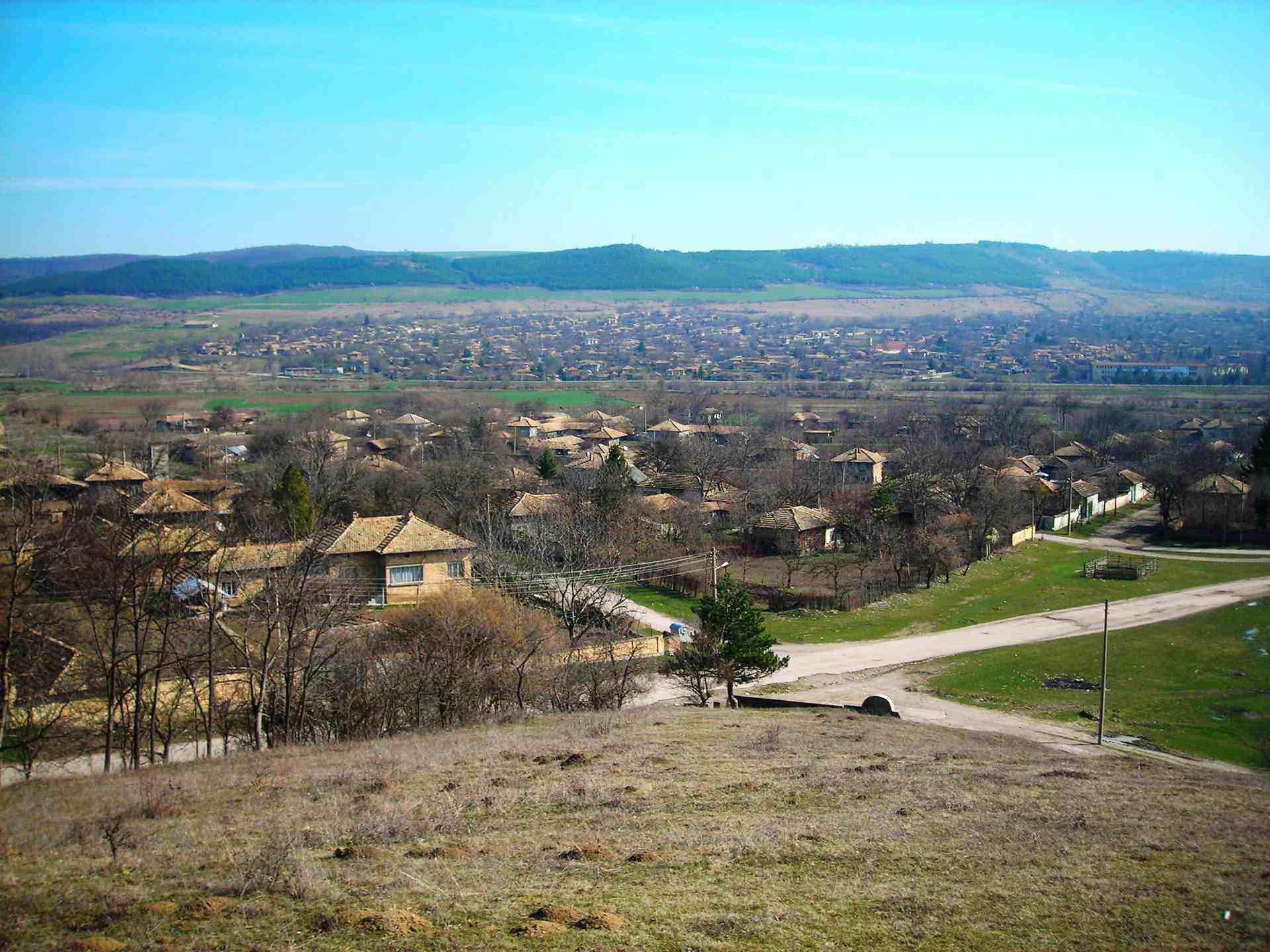 Садина