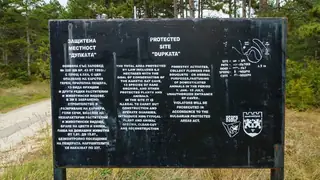 Защитена местност "Дупката" — Ивайловград
