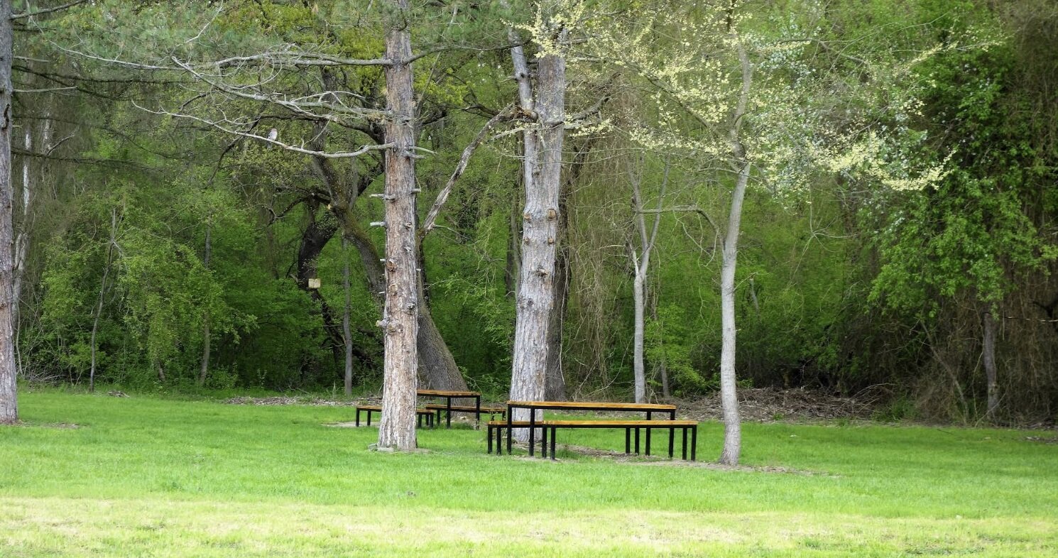 Ормана (край Ямбол)