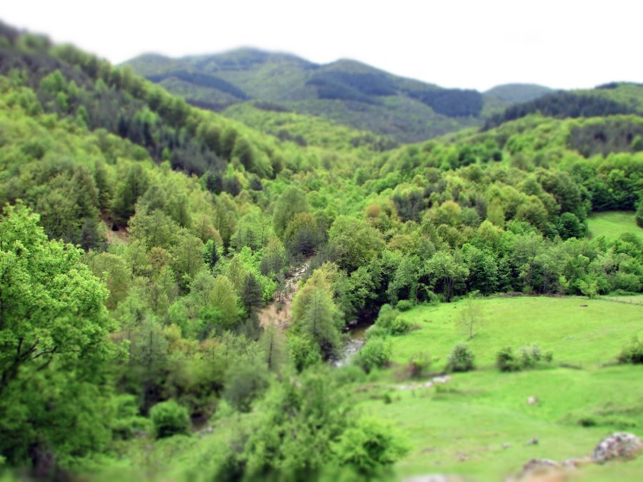 Резерват "Кормисош"