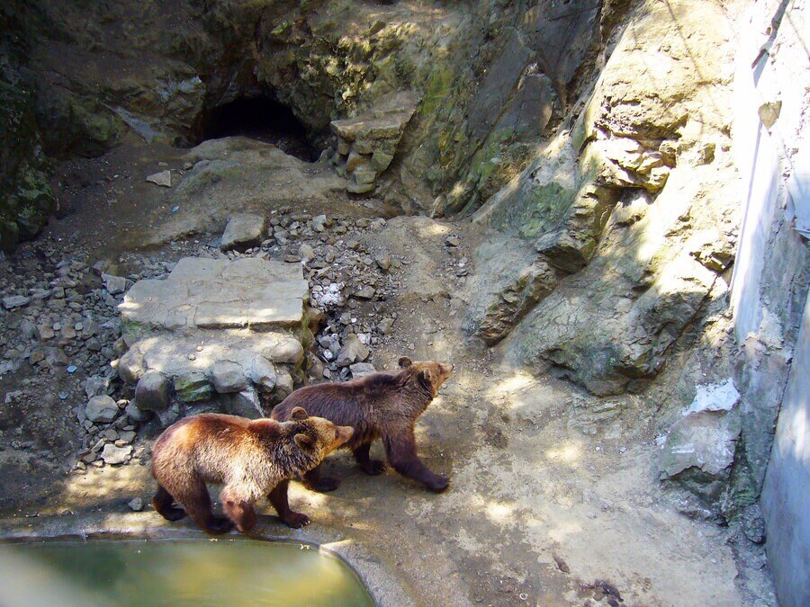 Зоопарк - Айтос