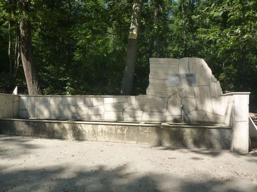 Чешма Тодорова - Долище