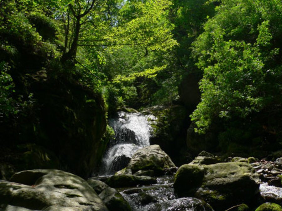 "Хайдушки водопади" - Берковица