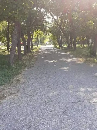 Парк Мартен — Мартен