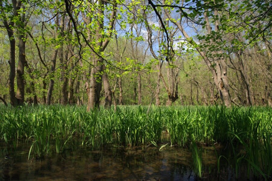 Защитена зона Батова