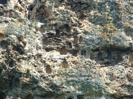 Скални ниши - Странджево