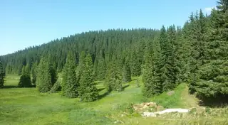 Роженски ливади - връх Рожен — Соколовци