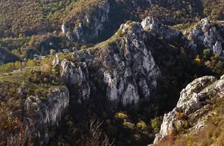 Черепишките скали — Лютиброд