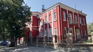 Видинска митрополия — Видин