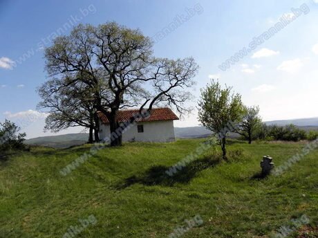 Спасова могила