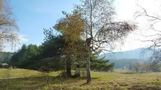 Партизански паметник яз.Батак — Батак