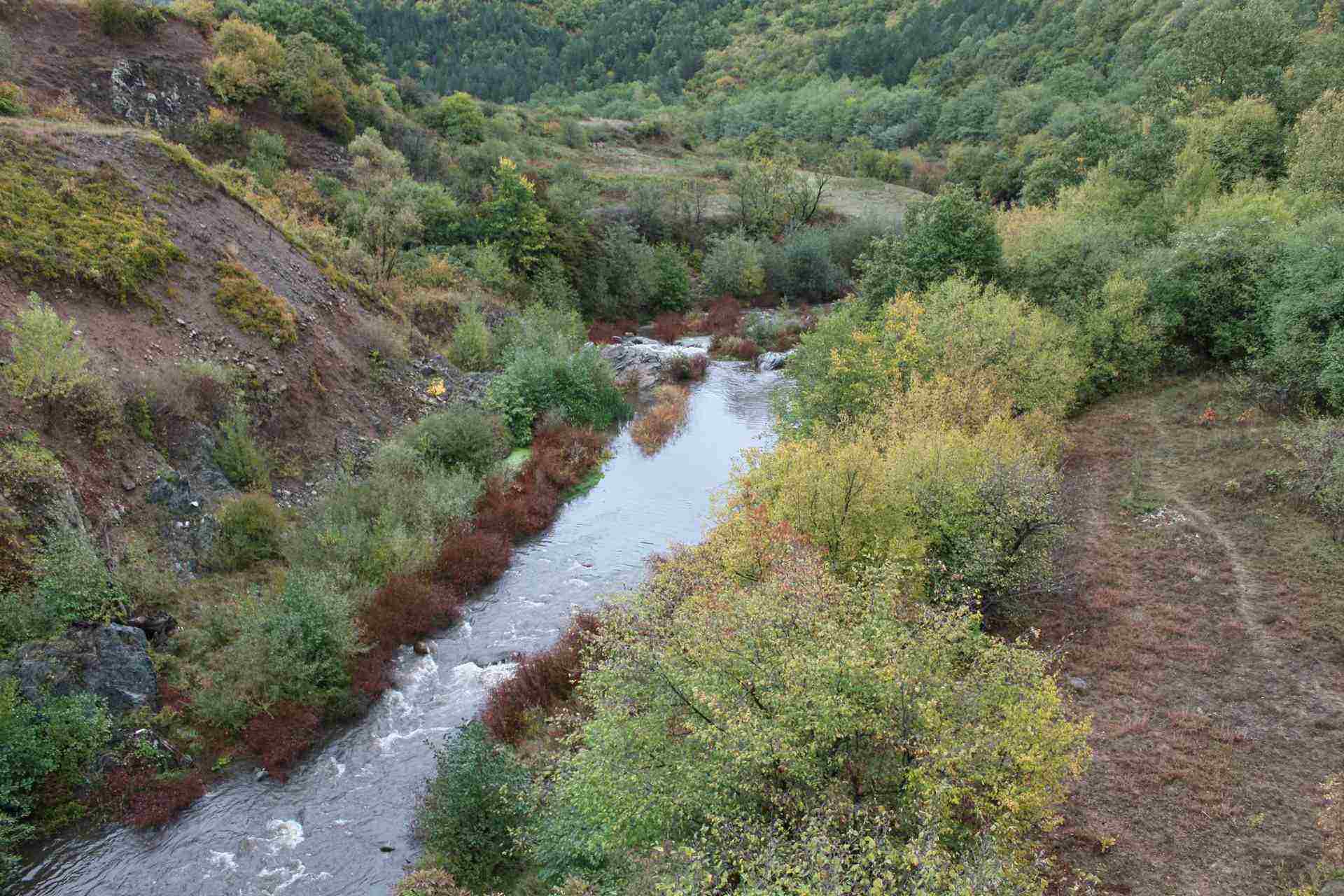 Габровица