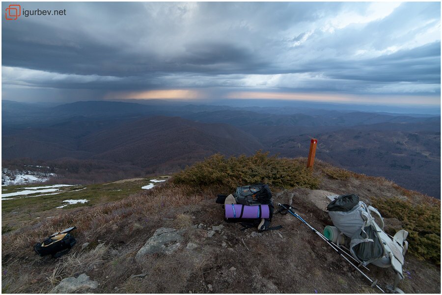 Връх Вълчата глава