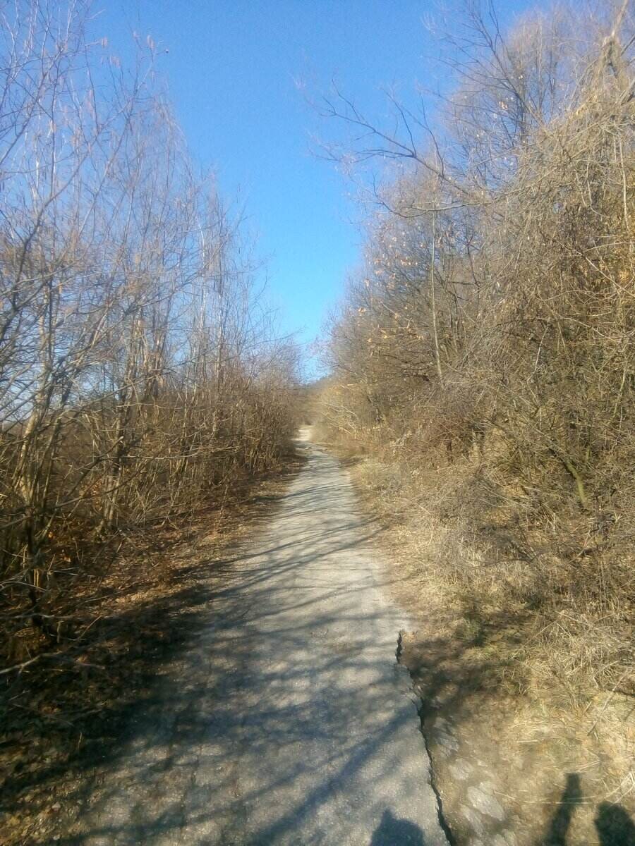 Връх Дупевица