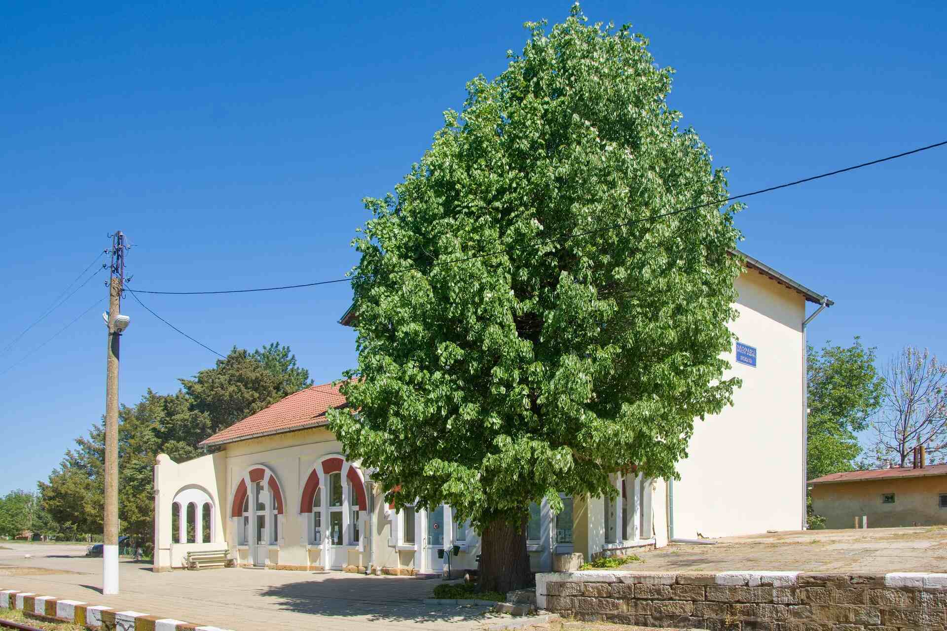 Морава