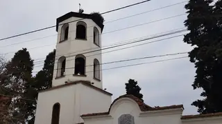 Църква "Успение Богородично" - с. Паталеница — Паталеница