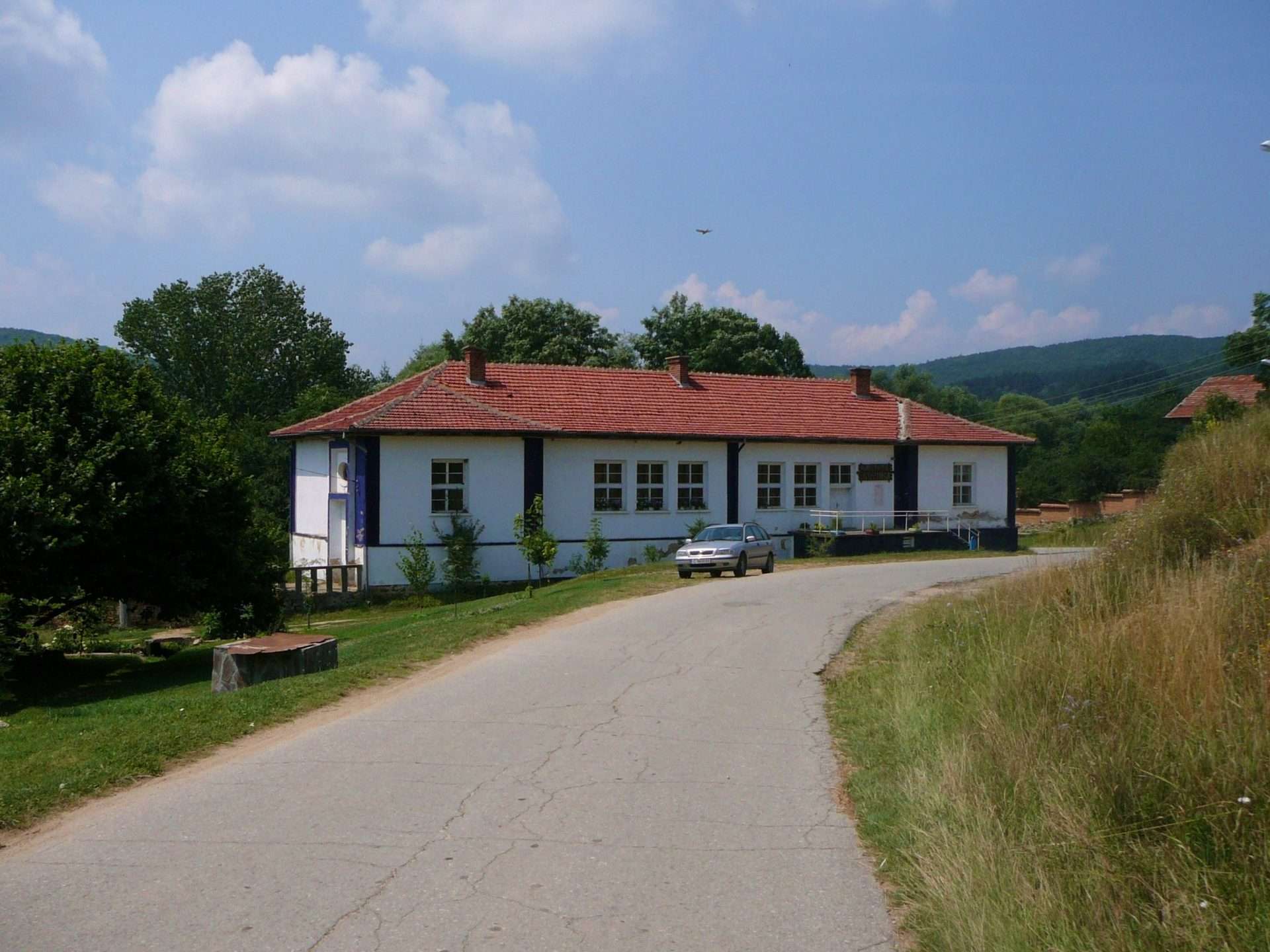 Борика