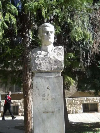 Паметник на Замфир Попов - Берковица — Берковица